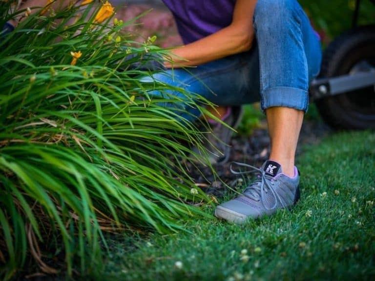 10 Best Garden Shoes Boots In 2020 Waterproof Shoes For Gardening 10 Best Garden Shoes Boots In 2020 Waterproof Shoes For Gardening