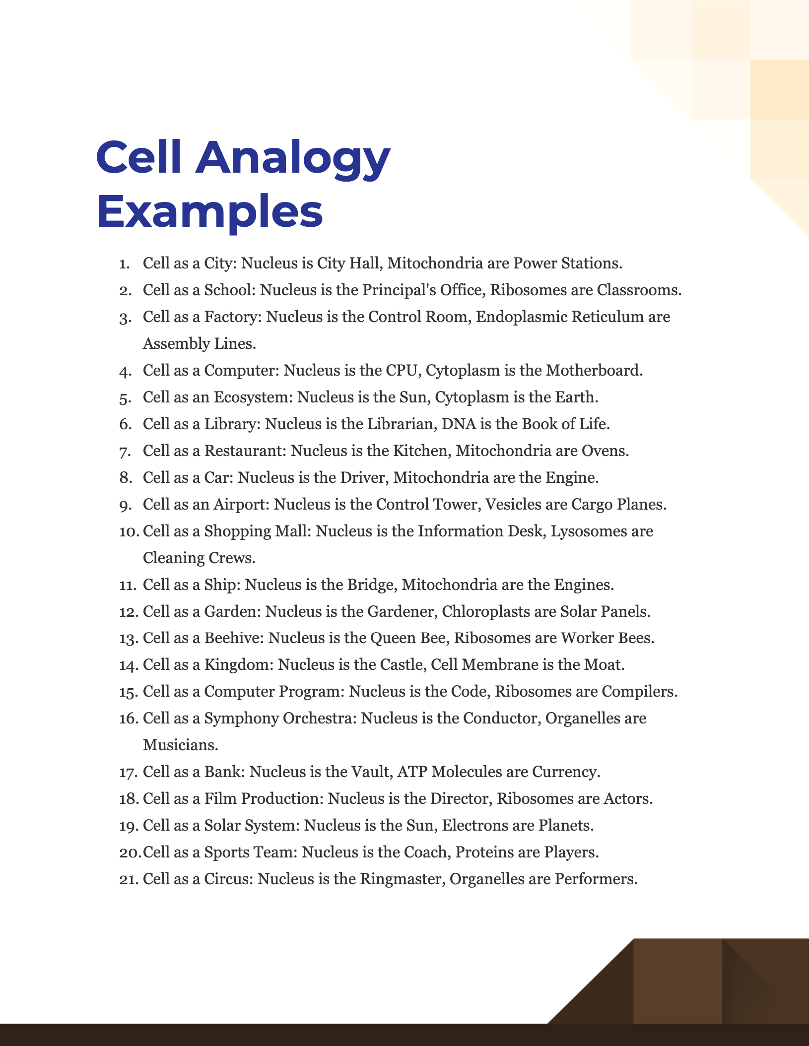 Analogy For The Cell