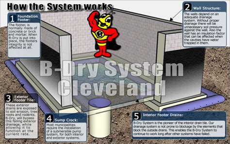 B Dry Waterproofing Solutions