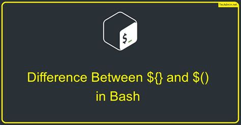 Bash Integer Comparison