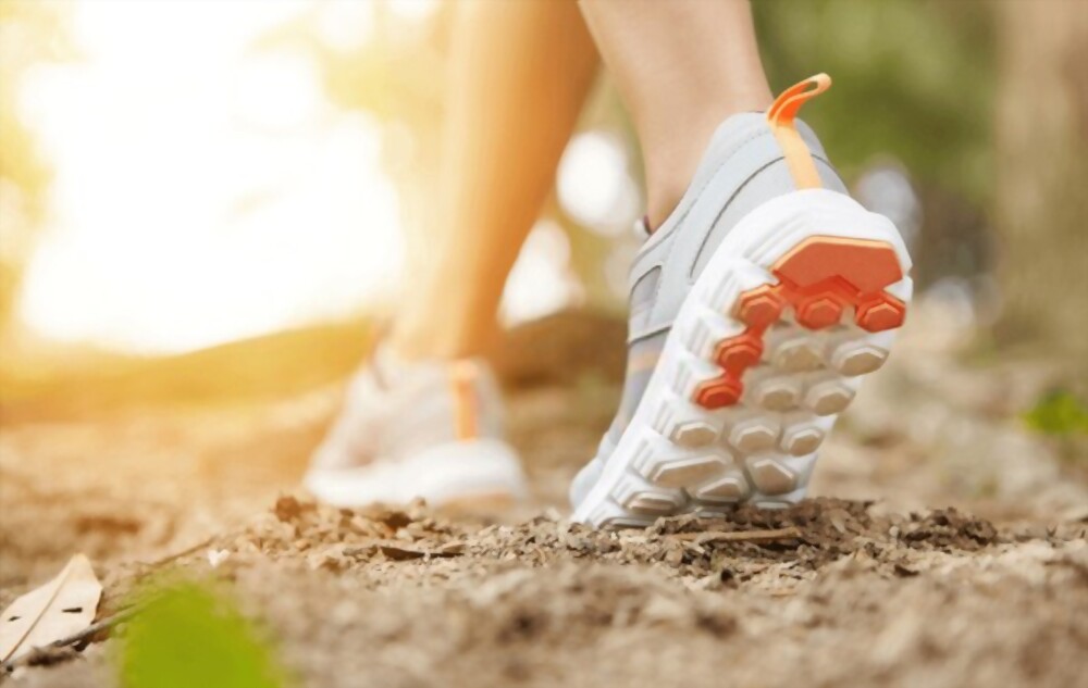 Best Hiking Shoes for Beginners