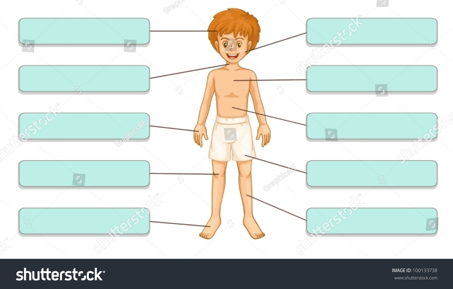 Body Parts And Labels Body Parts And Labels