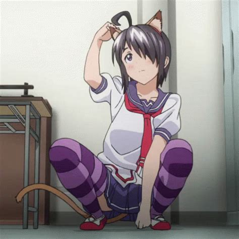 Catgirl Sex Gif