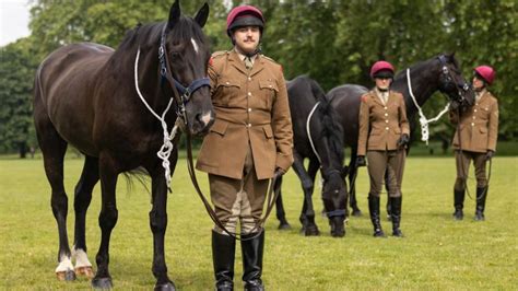 Cavalry Horse Injured In London Escape Set To Appear At The King S Cavalry Horse Injured In London Escape Set To Appear At The King S