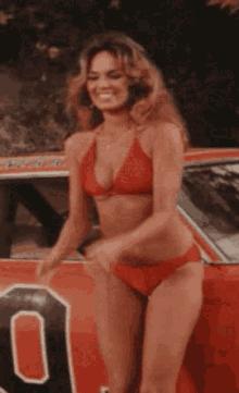 Daisy Porn Gifs
