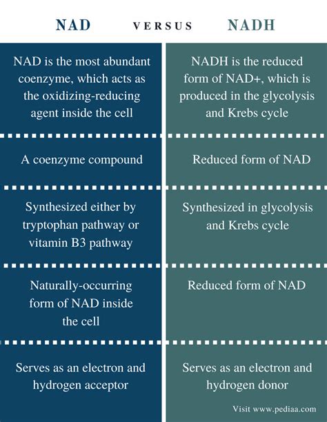 Difference Between Nad And Nadh