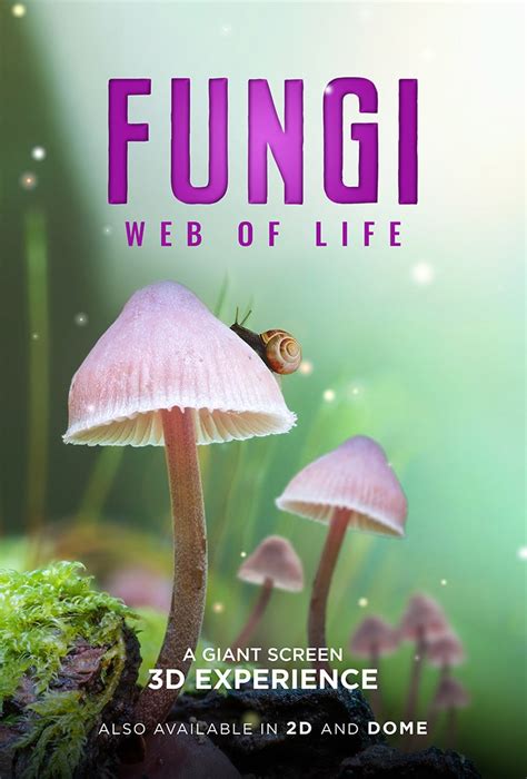 Fungi Web Of Life Showtimes