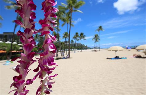 Hawaii Paycheck Hawaii Paycheck