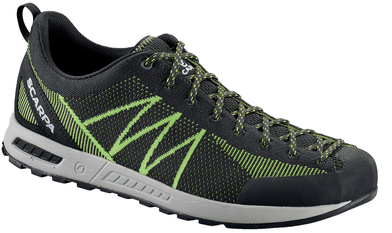 5 Iguana Shoes Tips