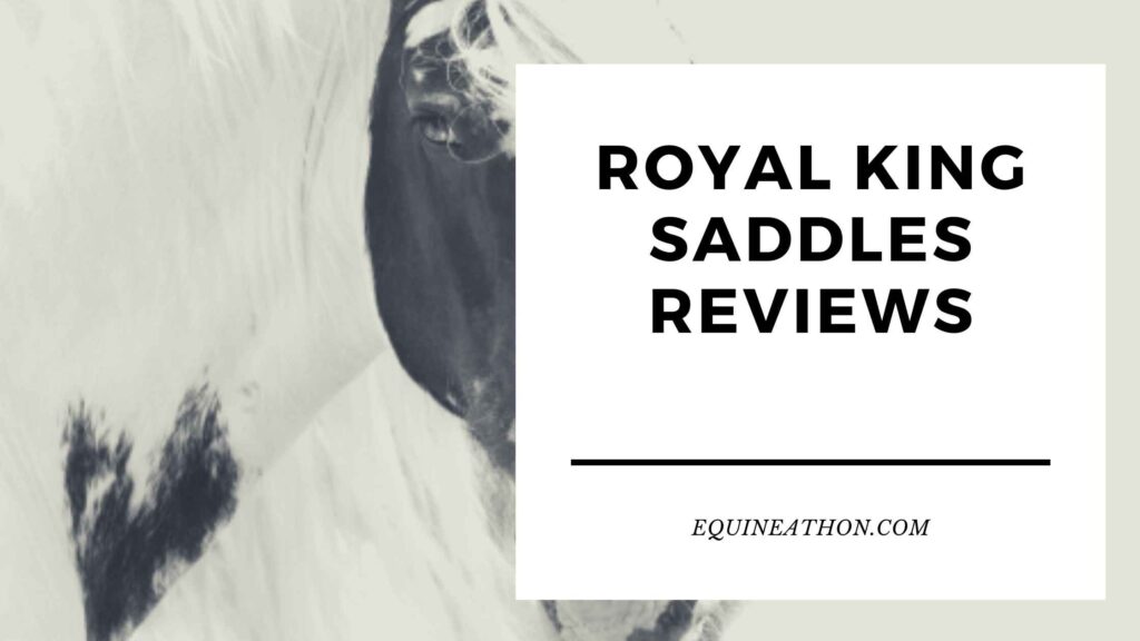 5 King Saddle Tips