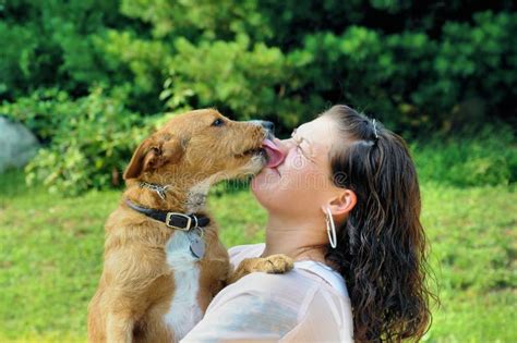 Licked By A Dog Porn