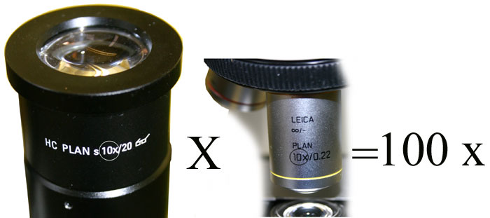 Magnification Of Microscope