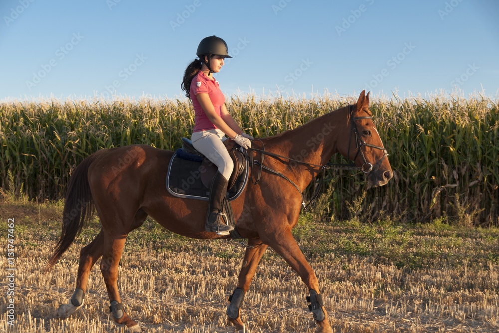Mujer Follando Caballo