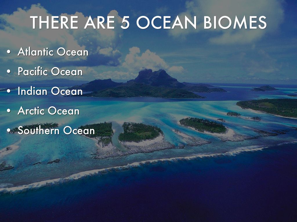 Ppt Ocean Biome Powerpoint Presentation Free Download Id 2335810 Ppt Ocean Biome Powerpoint Presentation Free Download Id 2335810