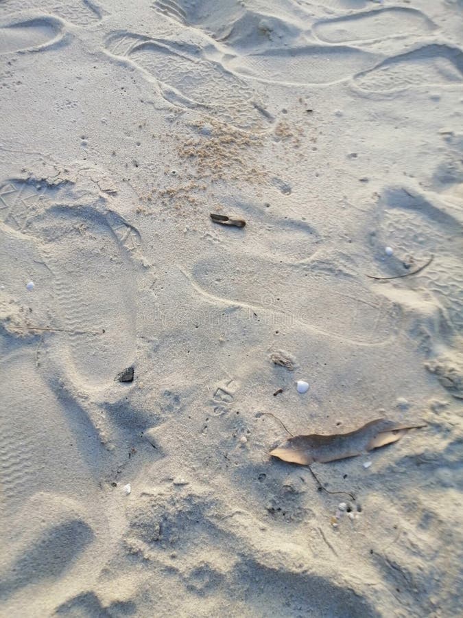 Best Sand Shoes for Beach