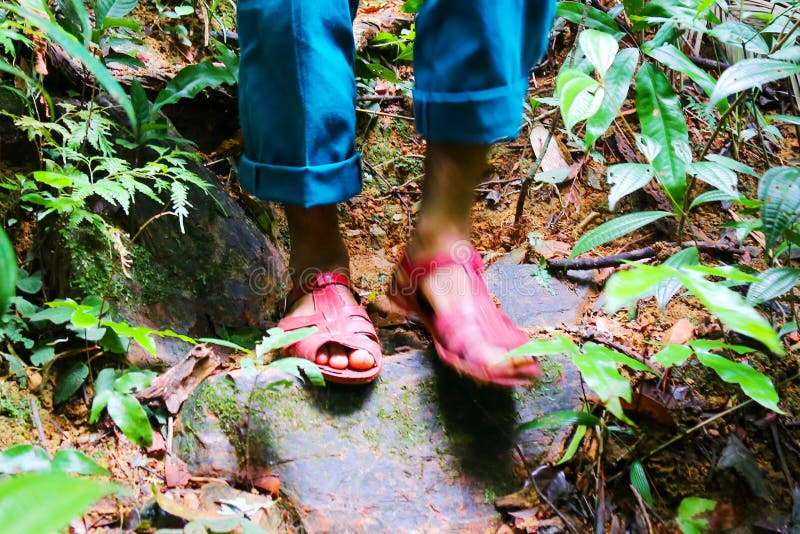 Sandal Hiking Shoes