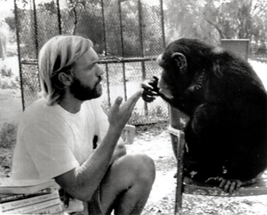 Sexo Humano Y Animal