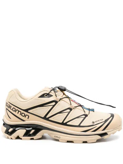 Sneakers Safari Adventure