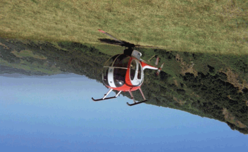 Upside Down Bj Gif Upside Down Bj Gif
