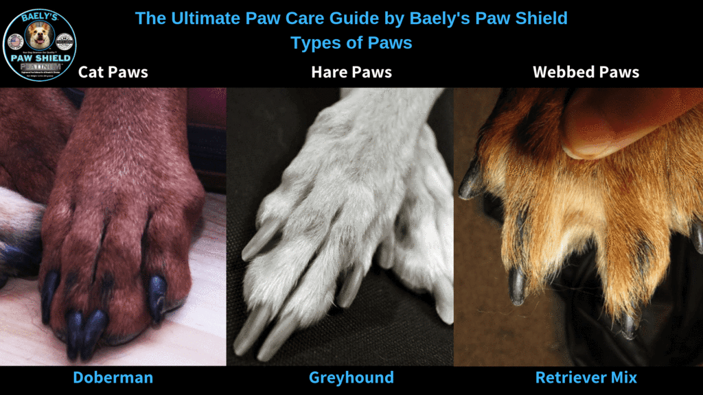 Webbed Paw Dog
