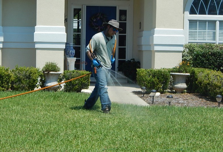 Weed Control Lawn