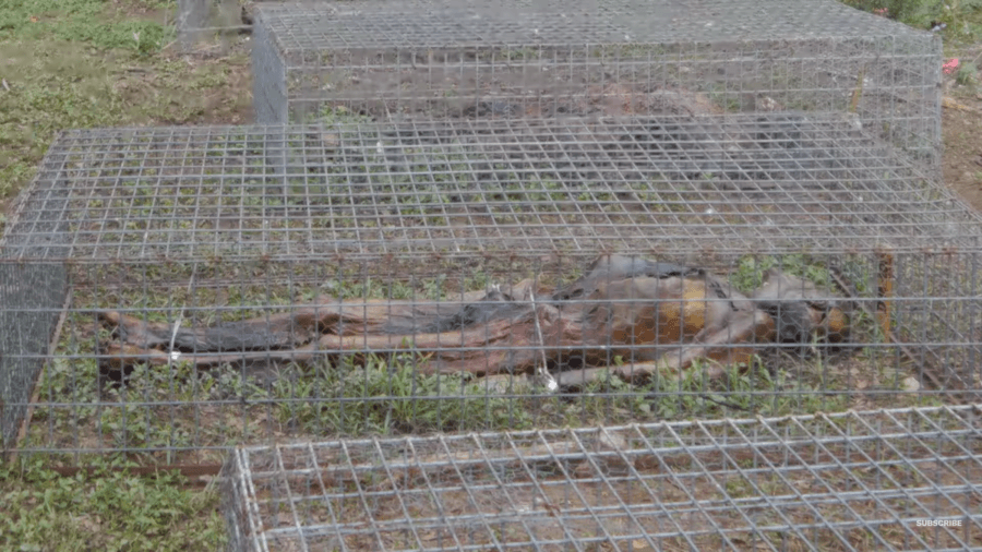 What Are Body Farms