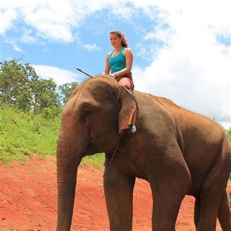 Woman Fucks Elephant