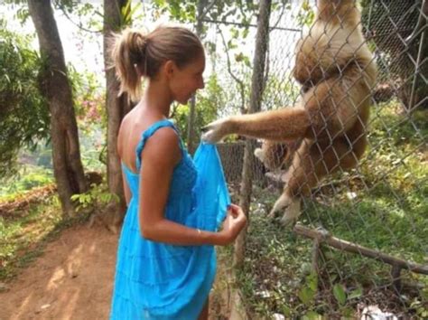 Women Sex Animals Video
