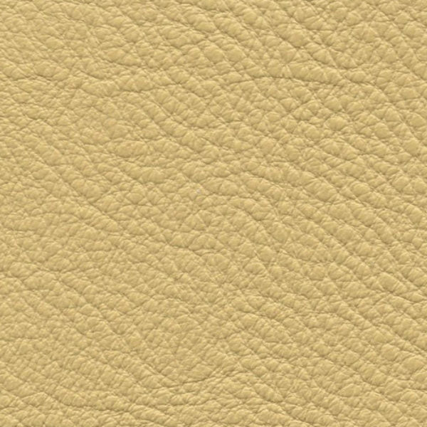 Yellow Leather Essentials Yellow Leather Essentials
